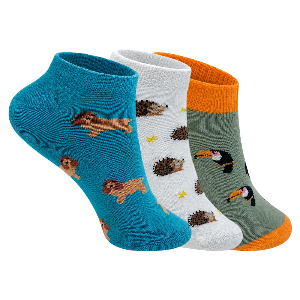 Wild & Wonderful Set-of-3 Ankle Socks for Women