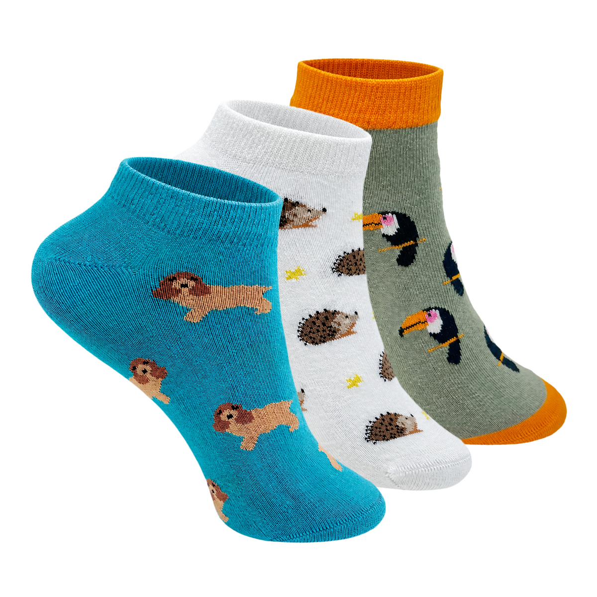 Wild & Wonderful Set-of-3 Ankle Socks for Women
