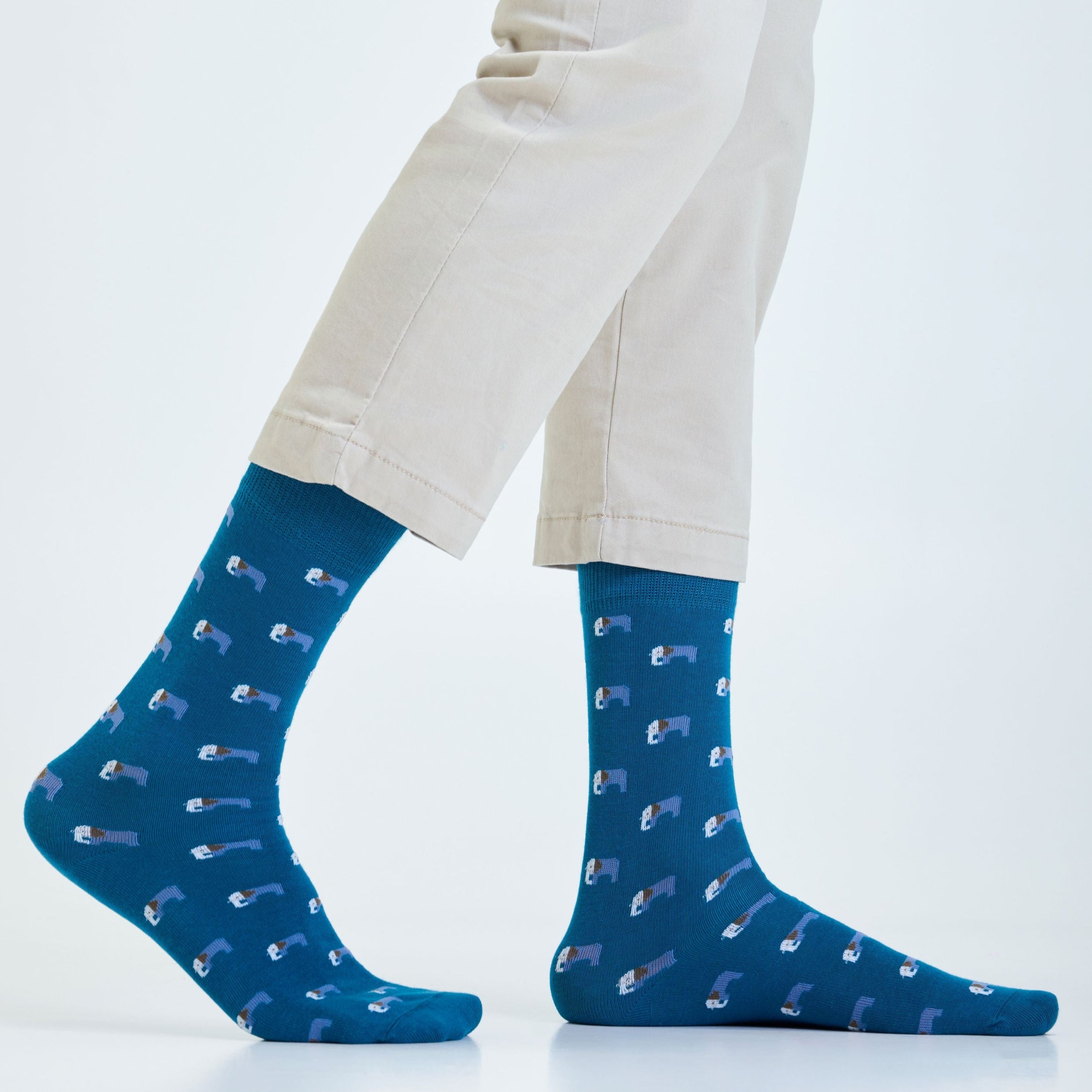 Dog Set-of-3 Crew Socks for Men