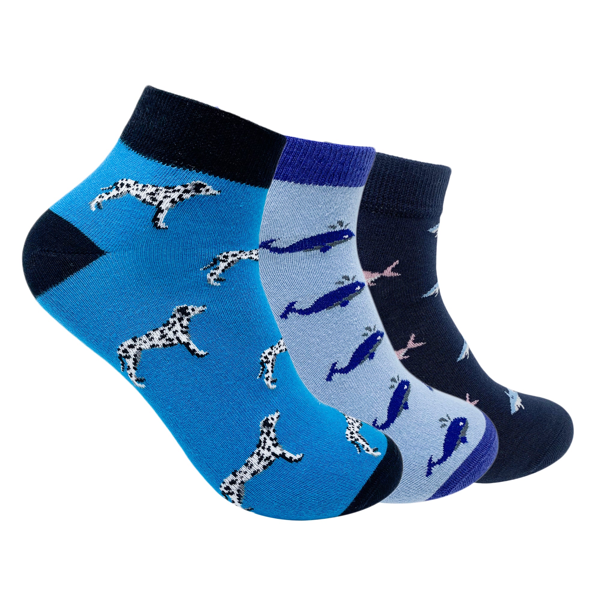 Essentials Set-of-3 Ankle Socks for Men