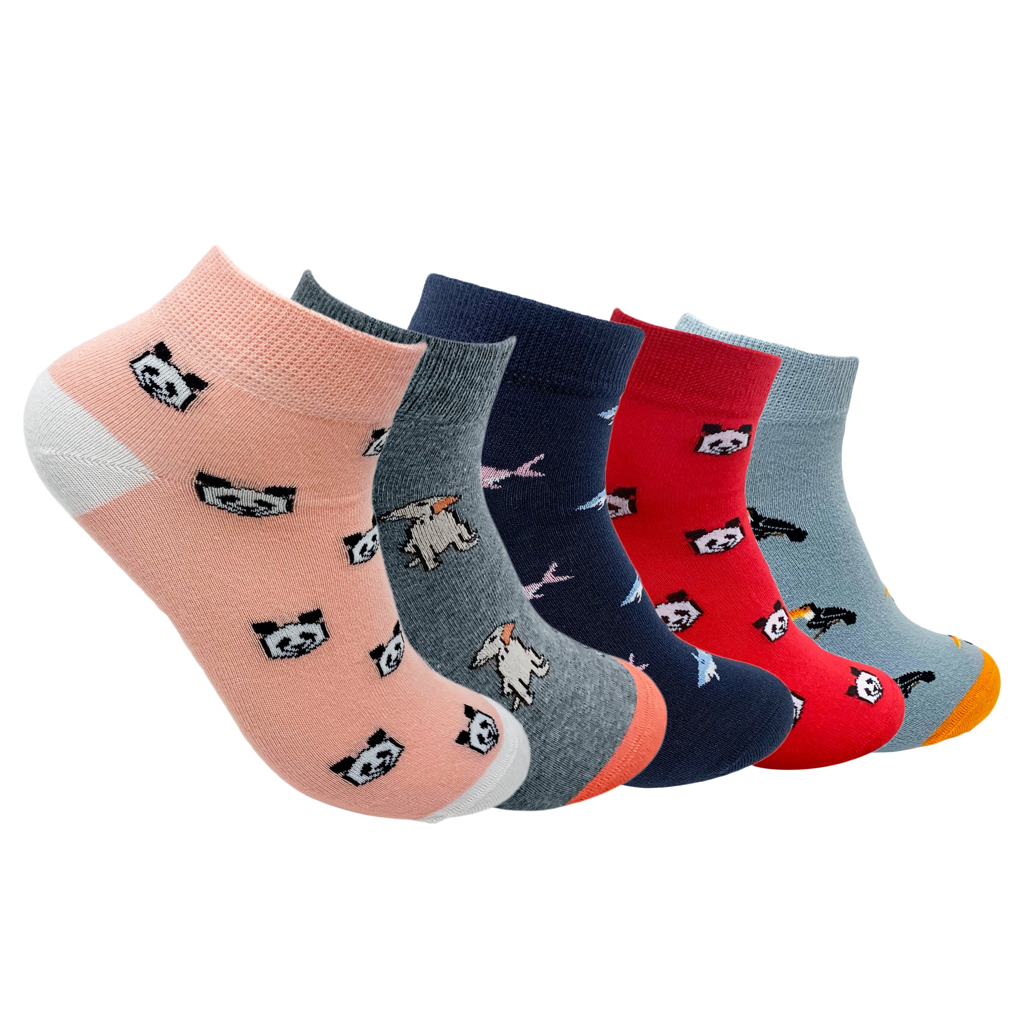 Mixed Patterns Set-of-5 Ankle Socks for Men