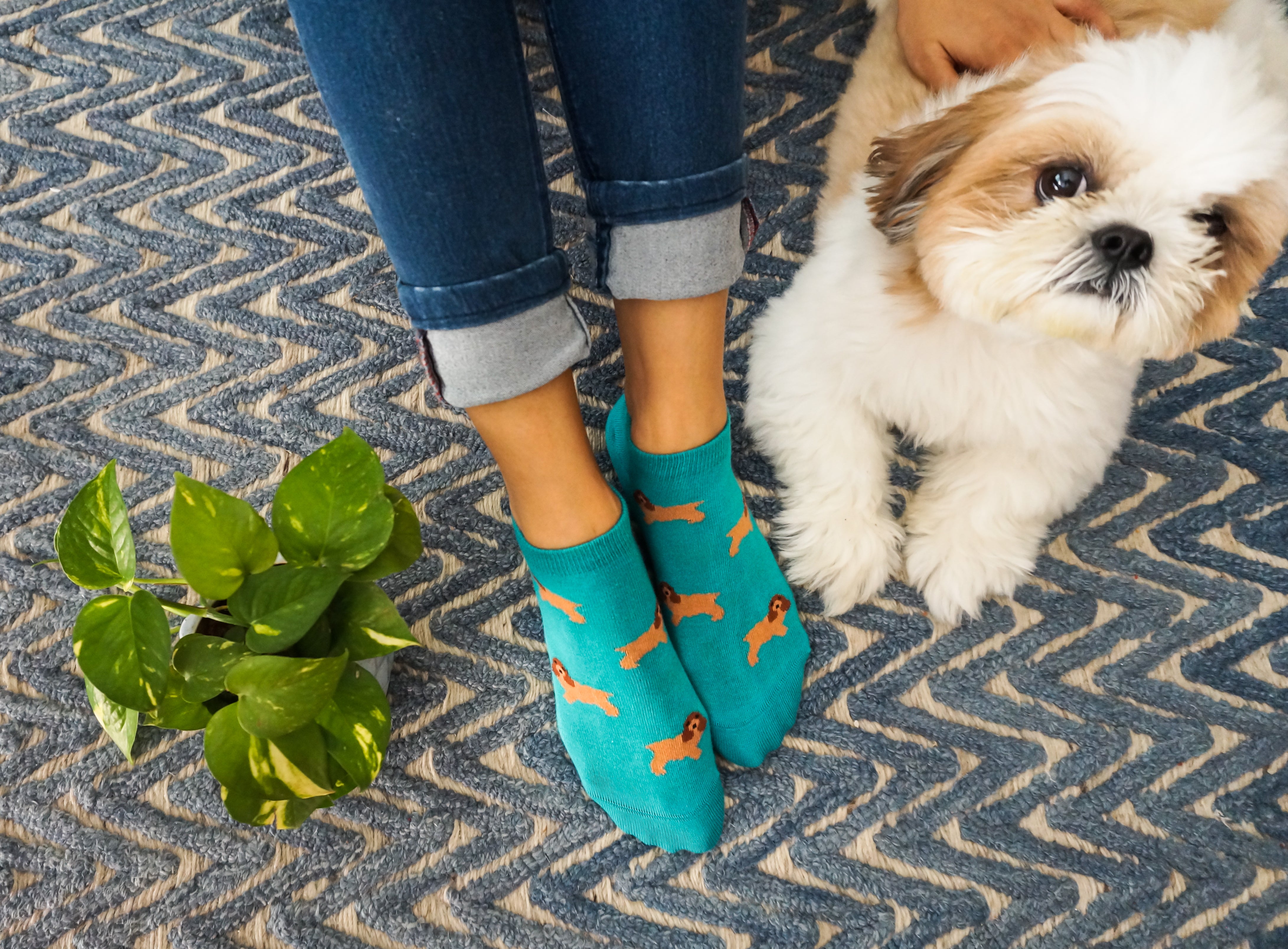 Just Pawsome Ankle Socks for Women