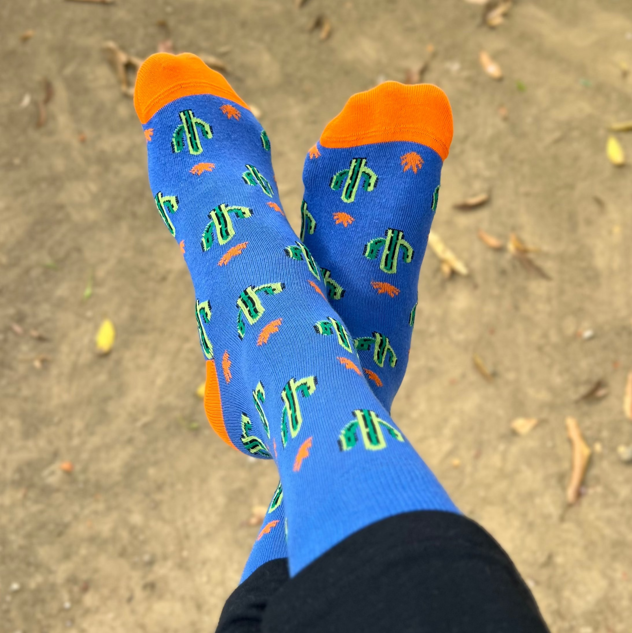Cactus Vibes Men's Crew Socks