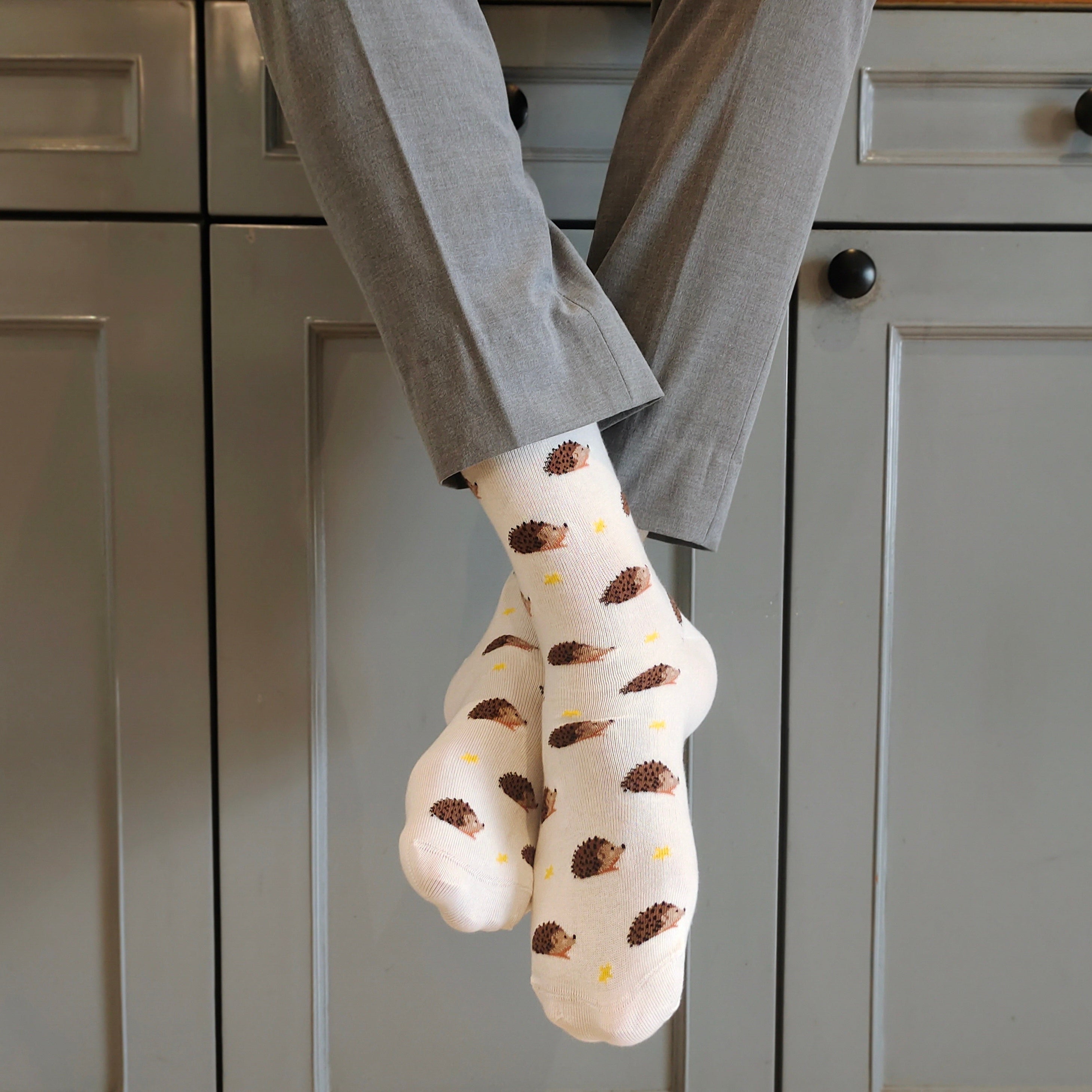 Hedgehog Men's Crew Socks