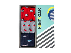 Gift box of 3 - Hot & Cool Socks For Men