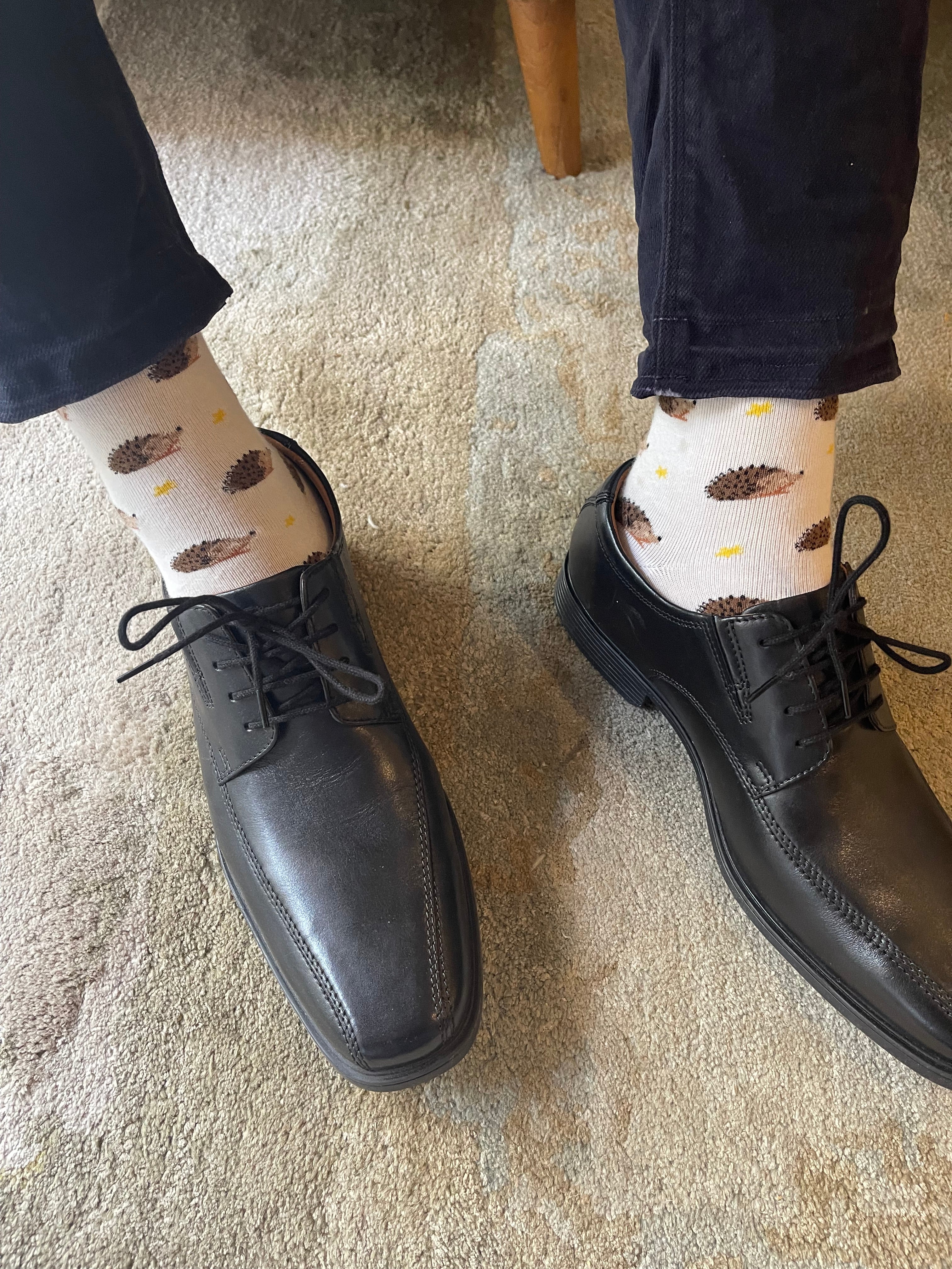 Hedgehog Men's Crew Socks