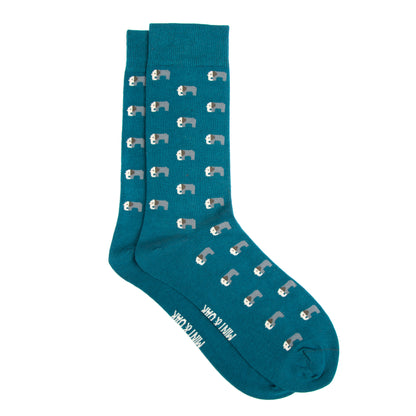 TRUNK IT UP - Mint & Oak