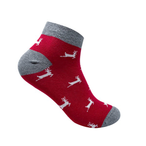 Red Dasher Ankle Socks For Men
