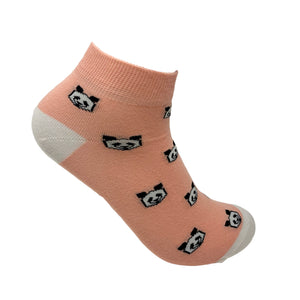 Panda Express - Pink Ankle Socks For Men