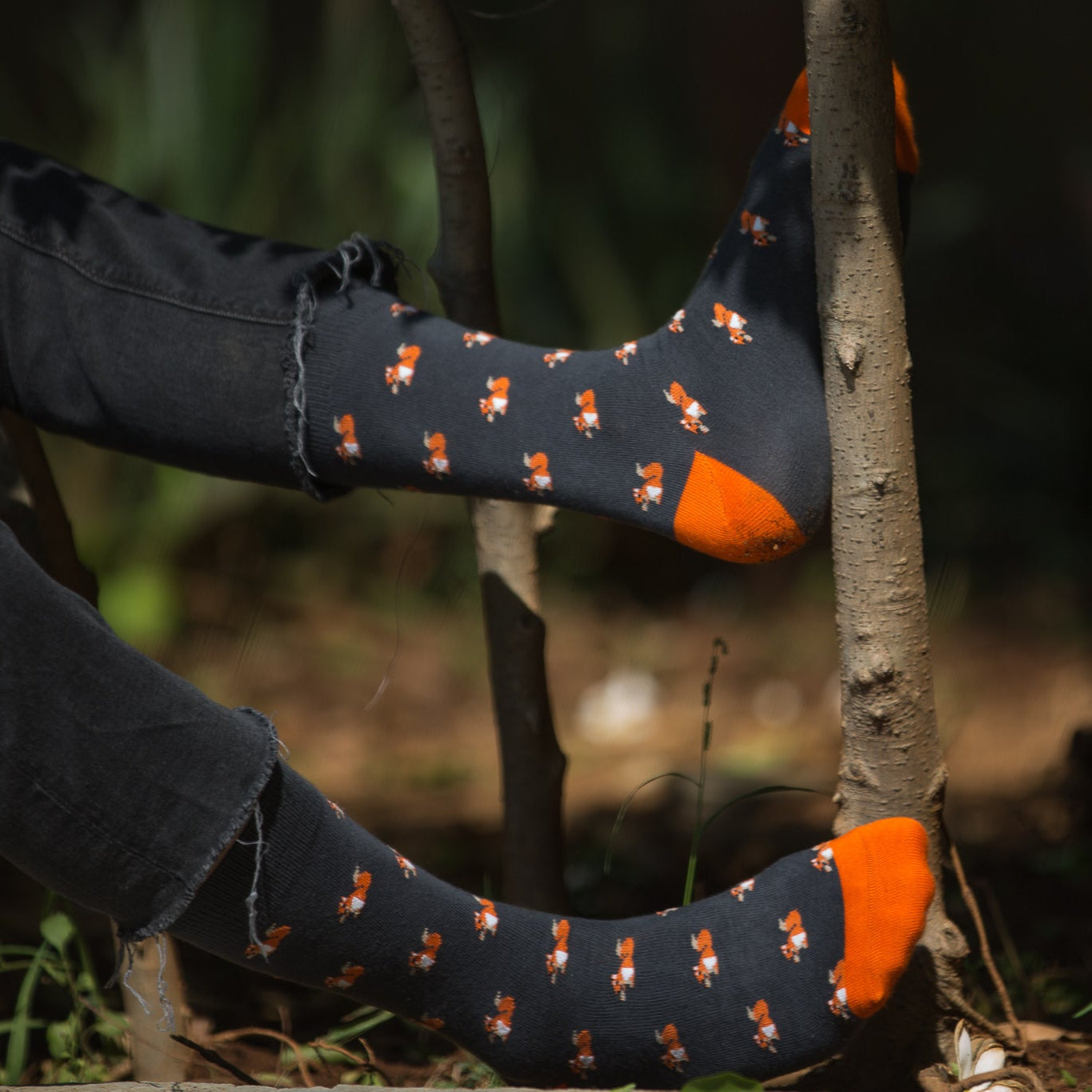 NUTS ABOUT SOCKS - Mint & Oak