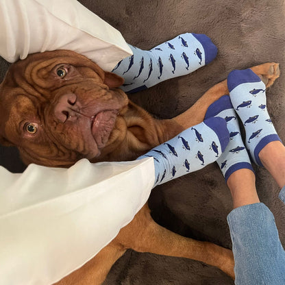 Oh Whale Men & Women Matching Socks